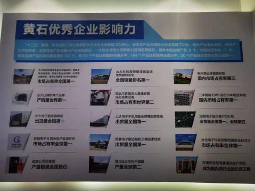 黃石首個科技中介服務盛會武漢開幕，搭建區域科創資源對接平臺